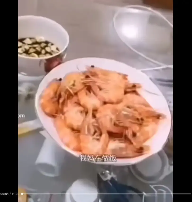 《大虾母子厨房完整版》高清视频在线观看 - 猎奇视频资源百度夸克迅雷网盘 - 揭秘大虾母子厨房完整版梗的来龙去脉